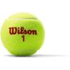 WILSON Youth Tennis Balls – US Open Red Tournament, Single Can (3 Balls)