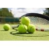 Wilson Extra Duty Tennis Ball(Yellow)