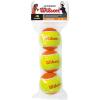 Wilson Sporting Goods Youth Tennis(Orange)