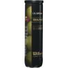 Wilson US Open Regular Duty Tennis Ball (4 Ball Can)