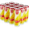 WILSON Championship Tennis Balls(Extra Duty)