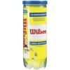 WILSON Sporting Goods Championship High Altitude Tennis Balls (1-Can)