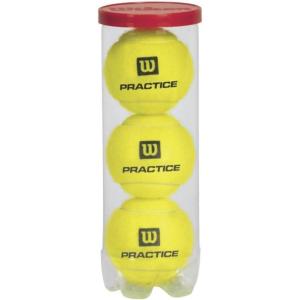 WILSON Hi Altitude W Team Tennis Ball – 3 Ball Can