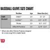 Wilson 2021 A360 Youth Baseball Glove(Silver)