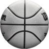 WILSON NBA Alliance Series Basketballs – Size 7 and Mini Size(Platinum)