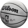 WILSON NBA Alliance Series Basketballs – Size 7 and Mini Size(Platinum)
