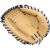 Wilson Winter 2024 A2000® Baseball Gloves(Navy/Blonde)