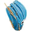 Wilson Winter 2024 A2000® Baseball Gloves(Sky Blue/Blonde)