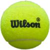 WILSON Premier Padel Speed Ball – Yellow, 3 Pack