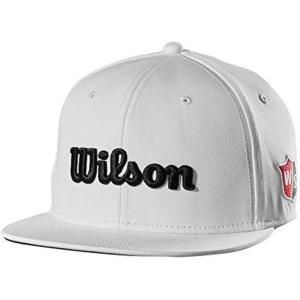 Wilson Staff Golf Hat (Flat Brim/Curved Brim/Visor)(White)