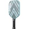 Wilson Fierce V2 Pickleball Paddles(Black/White)