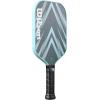 Wilson Fierce V2 Pickleball Paddles(Black/White)