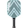 Wilson Fierce V2 Pickleball Paddles(Black/White)